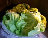 チーズとろりんロールキャベツのトマト煮込作り方1写真