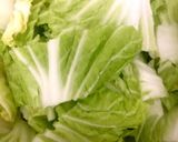 鶏胸肉と白菜のごま油炒め作り方2写真