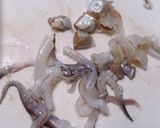 イカの炊き込みご飯作り方2写真