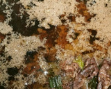 伝家宝刀!関西人が作る!すき焼き!作り方20写真