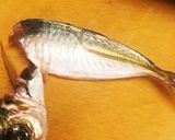 小鯵の南蛮漬け作り方3写真