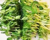 ボールだけで簡単!豆苗とチキンのサラダ作り方1写真