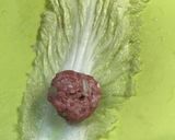 とろ味白菜のひき肉ロール作り方3写真