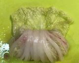 とろ味白菜のひき肉ロール作り方4写真