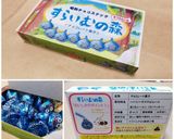 キスチョコで簡単スライムチョコ作り方14写真