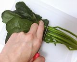 ★離乳食初期★時短ペーストほうれん草作り方1写真