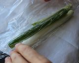 和風くるくるくる春巻き作り方4写真