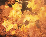 モヤシ炒め 絶対しゃっきり炒める方法！作り方4写真
