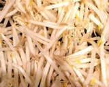 モヤシ炒め 絶対しゃっきり炒める方法！作り方6写真