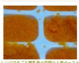 レンジで丸ごと離乳食☆初期☆人参ペースト作り方8写真