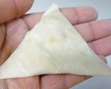 餃子の皮でミニサモサ作り方7写真