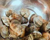 簡単 あさり のにんにく香る酒蒸し作り方2写真