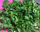 【作り置き】大根の葉 ごま油炒め作り方1写真