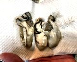 食べれば カキフライ❗️作り方4写真