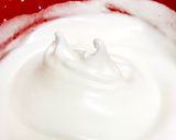 チョコミン党作り方6写真
