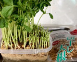 豆苗と切り干しだいこんのサラダ作り方1写真