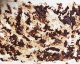 HB生地でハートのチョコシナモンロール作り方5写真