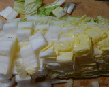 白菜ともやし鶏むね肉のスープ煮～和風味～作り方1写真