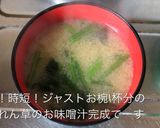 簡単！時短！ジャストお椀1杯のお味噌汁！作り方15写真