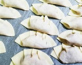 タモリさんの餃子と餃子の美味しい焼き方作り方5写真