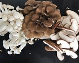 常備菜、準備菜作り方11写真