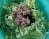 白菜とツナの和風サラダ作り方1写真