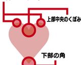 図説有☆バレンタインに☆ハートのクッキー作り方12写真