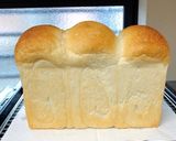 自家製酵母の食パン(定番の山食)作り方16写真