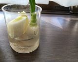 薬味用ネギを育てよう作り方1写真