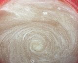 基本の鶏団子鍋スープ作り方1写真
