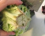 ★一番簡単！★見切品レタス復活！保存法★作り方2写真