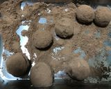 ☆バレンタインオレンジピールのトリュフ☆作り方10写真