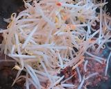 合わせ調味料で簡単!麻婆もやし作り方6写真