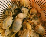 土鍋で牡蠣ご飯~☺作り方5写真