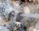 この時期ならではの贅沢！秘伝のゴッコ汁！作り方3写真