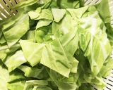 イカとキャベツ&葉玉ねぎの炒め物作り方2写真