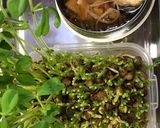 豆苗とえび団子のスープポットおうどん弁当作り方9写真