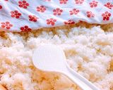 具沢山の巻き寿司＝恵方巻き♬行楽にも♬作り方7写真