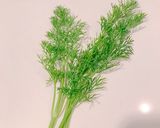 お酒のお供に！美味しいオクラのピクルス作り方6写真