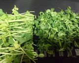 超簡単【豆苗とカニカマのシーザーサラダ】作り方3写真