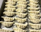 キャベツと青じその手作り餃子作り方4写真