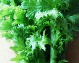 からし菜の簡単浅漬け作り方1写真
