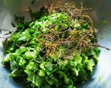 からし菜の簡単浅漬け作り方5写真