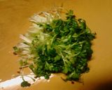 おつまみ　たことかいわれとわかめのサラダ作り方2写真