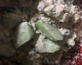 さばと豆腐のわさびマヨサラダ★作り方4写真