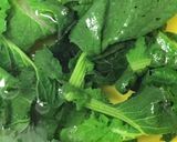 ご飯が進む！生の高菜の油炒め作り方2写真