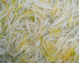 ご飯のお供＊長ネギ大量消費！白ネギ醤油作り方6写真