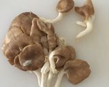 パクチョイと豚肉のタイ風炒め作り方2写真