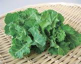 プチヴェールの肉野菜炒め～秋葉区～作り方10写真