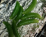 厚揚げの粒マ・ごま和え作り方2写真